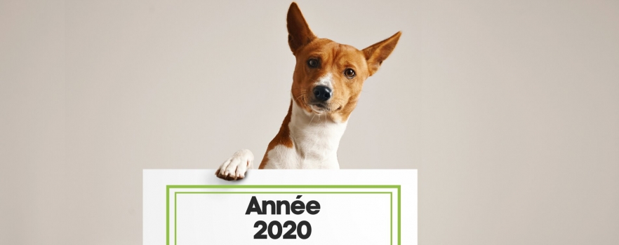 Les animaux ont-ils eu une bonne année 2020?
