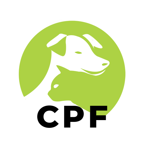 Zoopro - Financer votre formation avec le CPF