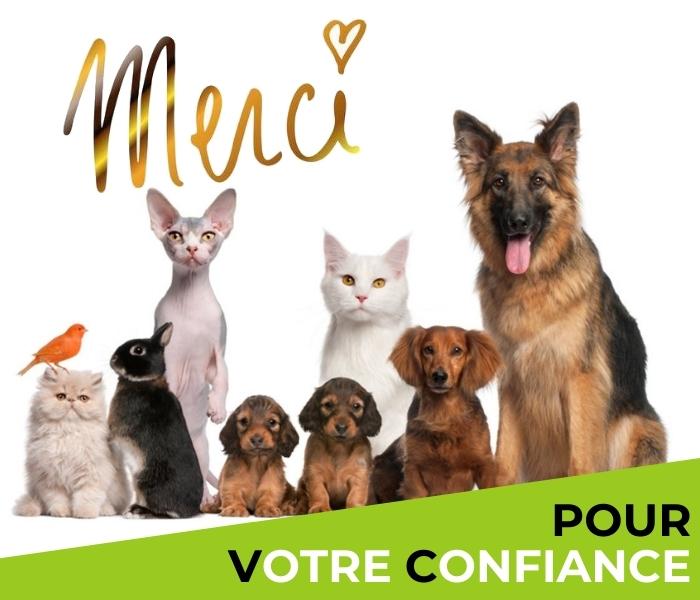 clients-formations-animaux