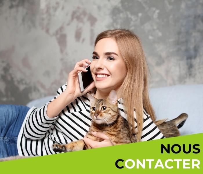 contact