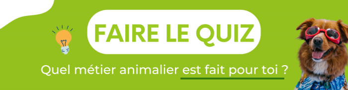 quiz-animaux