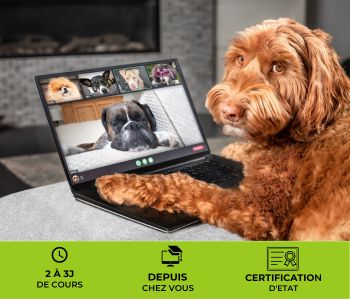 A distance En classe virtuelle