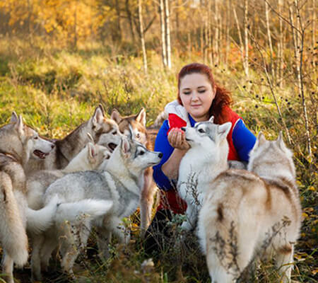 Formation éleveur canin