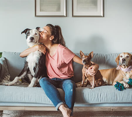 Formation pet-sitter / pension