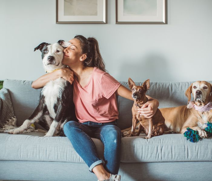 Formation pet-sitter / pension