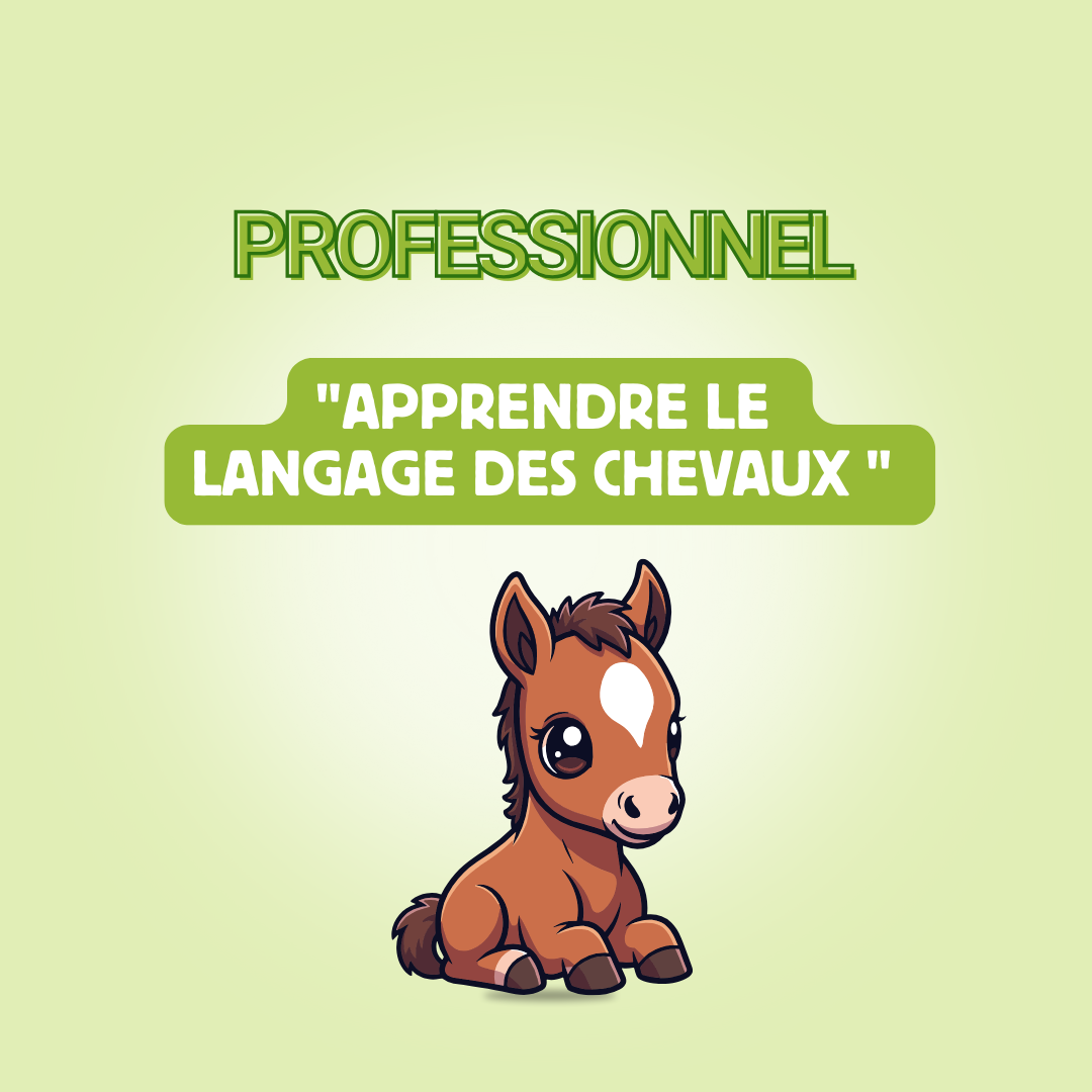 Formation comportementaliste équin