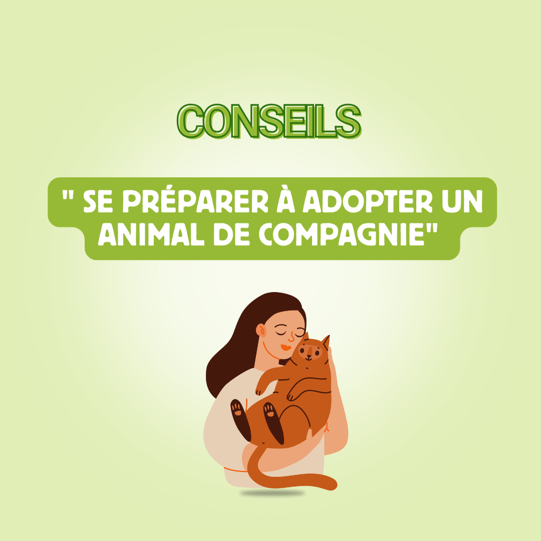 Guide pour une adoption responsable