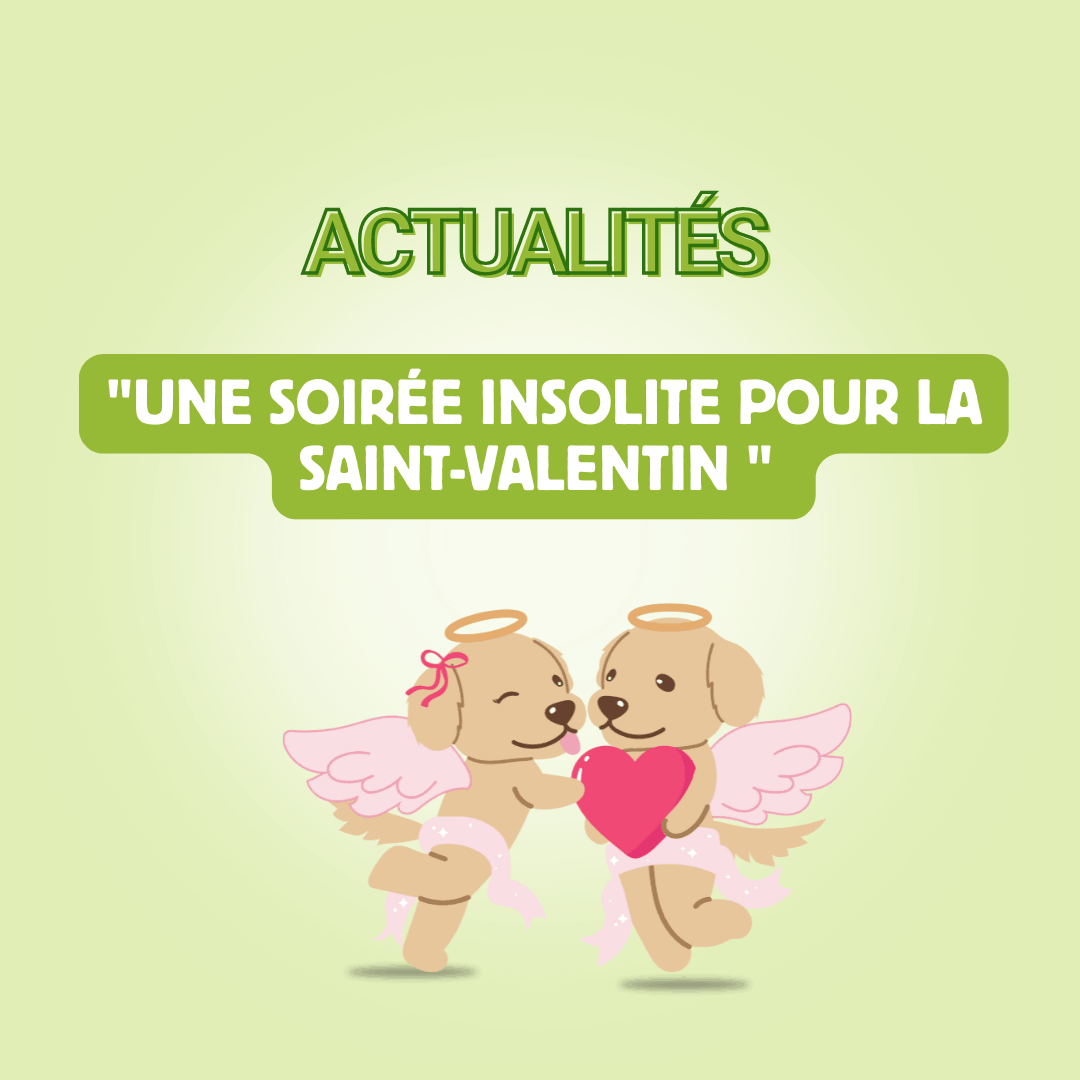 Soirée célibataires avec chien à Paris : Passez une Saint-Valentin insolite