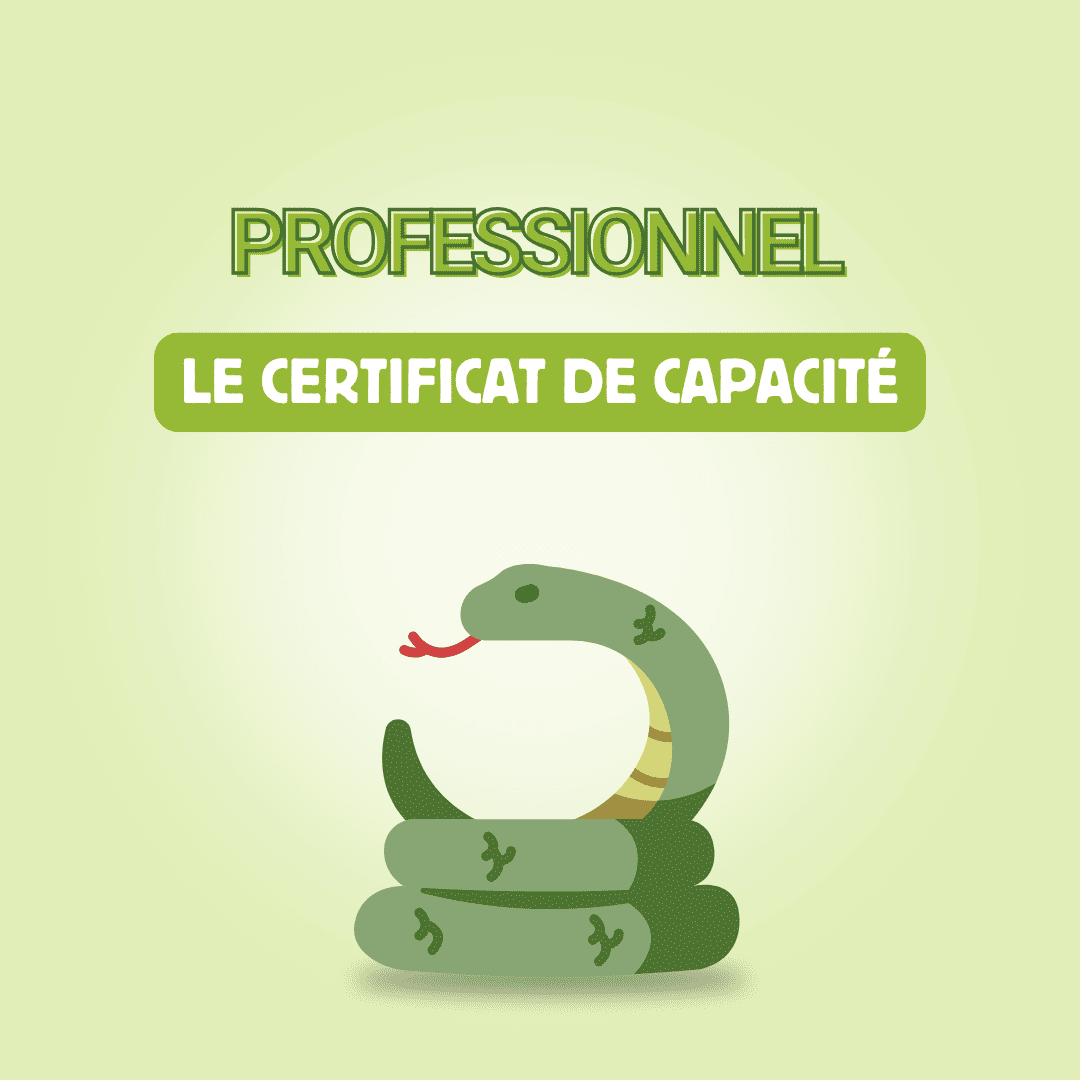 Certificat de capacité : Ce qu’il y a à savoir sur cette habilitation