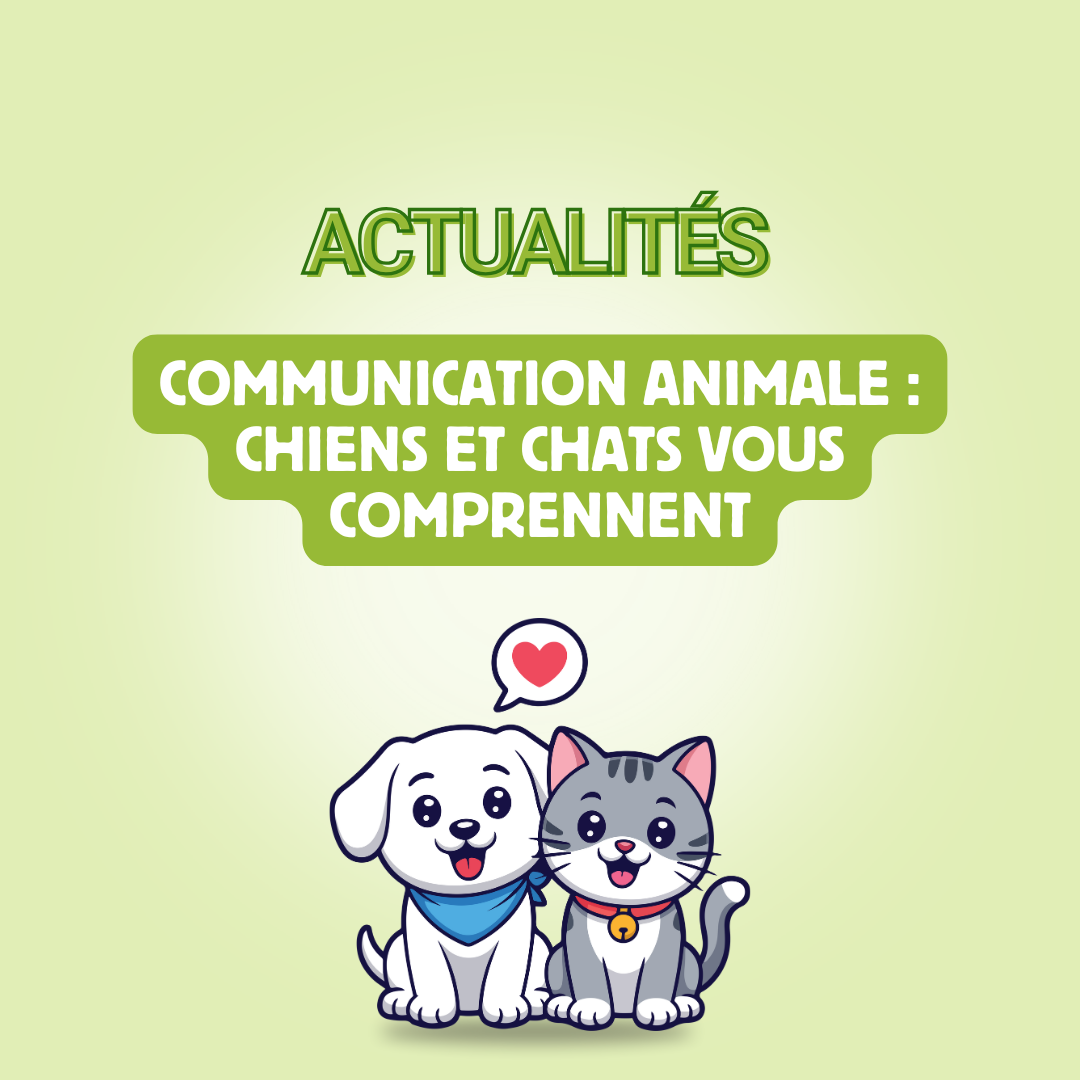 Communication animale : est-ce que les chiens et les chats nous comprennent ?