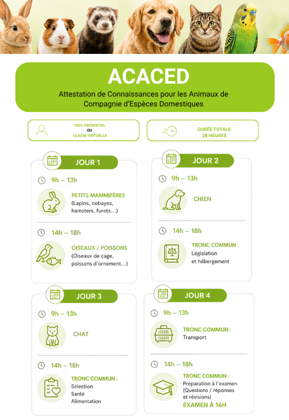 Organisation ACACED intégral Présentiel ou Classe virtuelle