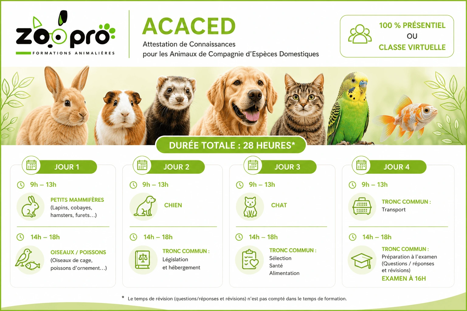 Organisation ACACED intégral Présentiel ou Classe virtuelle