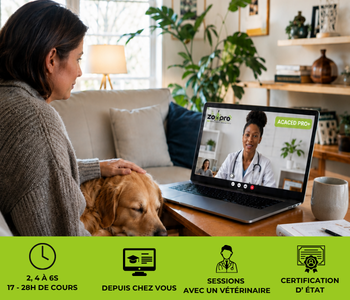 Formation ACACED Pro+ sessions avec des vétérinaires