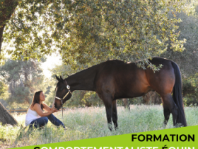 formation-comportementaliste-equin