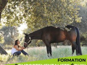 formation-comportementaliste-equin