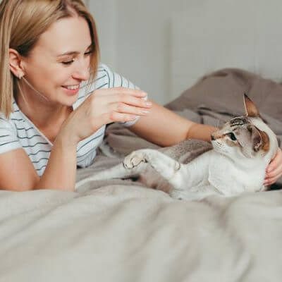 formation comportementaliste félin