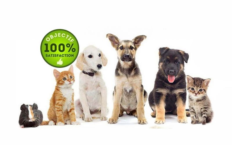 ACACED - attestation de connaissances animaux domestiques (chiens, chats et autres animaux, nac)